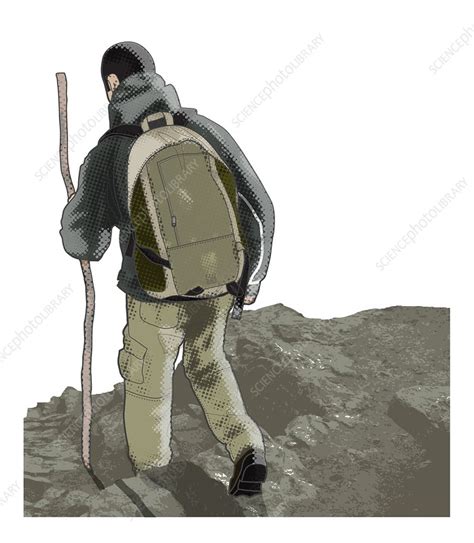 Man Hiking Illustration Stock Image C0540422 Science Photo Library