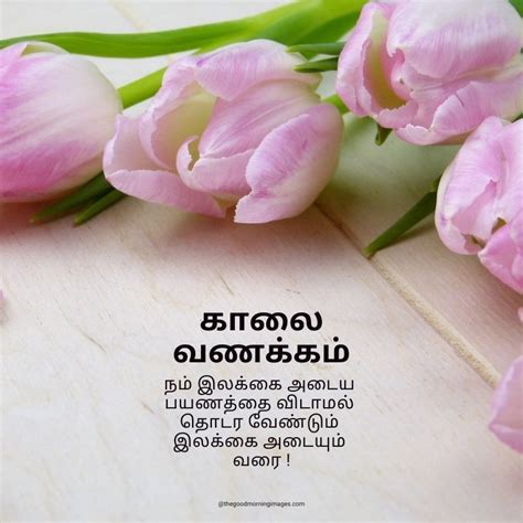 Good Morning Wishes In Tamil Words Good Morning Motivational Quotes
