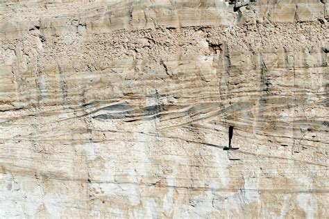 Trough Cross Bedding In Sandstone Geology Pics