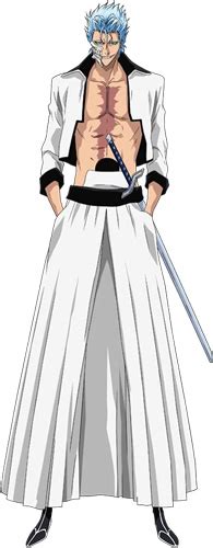 Grimmjow Jeagerjaques Character 3751 Anidb
