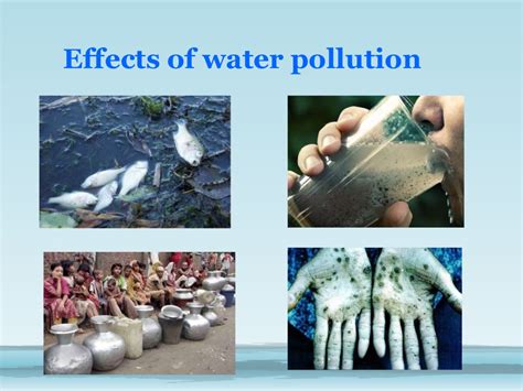 What are the effects of water pollution. Water pollution effects (1) (1)