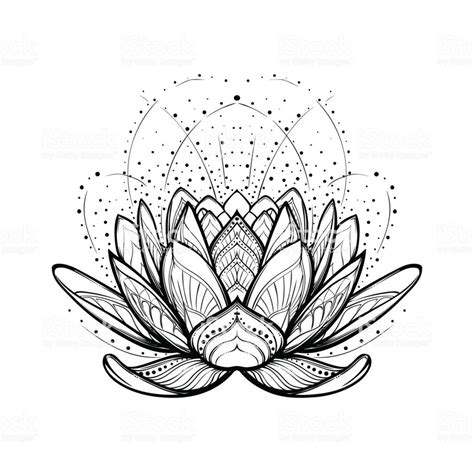 Lotus Flower Intricate Stylized Linear Drawing Isolated On White