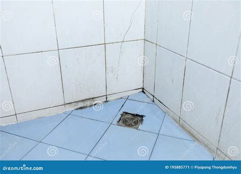 Dirt And Mold In The Bathroom Stock Image Image Of Hygiene Interior