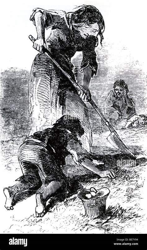 Irish Famine