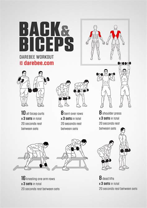Pin By Csa Homes On A Way Of Life Back And Biceps Workout Chart