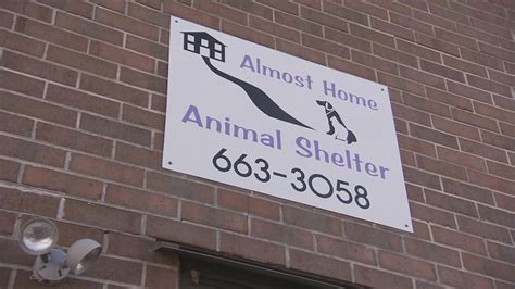 Shelter Me Almost Home Animal Shelter 6abc Philadelphia