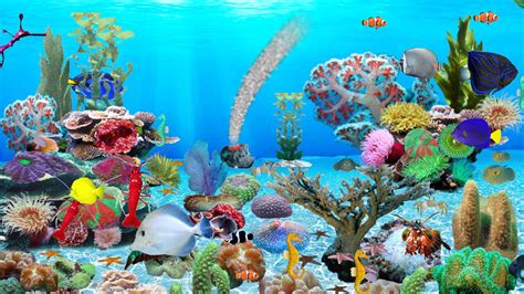 Download Blue Ocean Aquarium Wallpaper 207