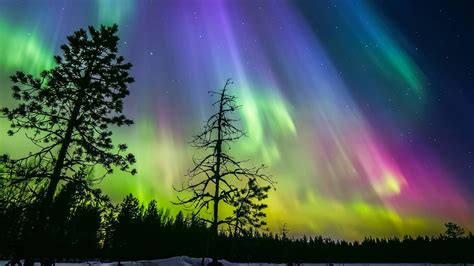 Nature Landscape Silhouette Trees Long Exposure Finland Night