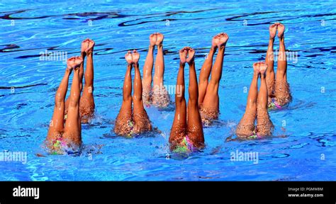 Synchronized Swimmers Point Up Out Of The Water In Action Synchronized