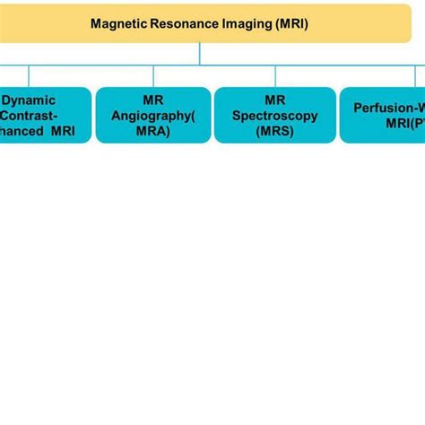 Different Mri Modalities Download Scientific Diagram