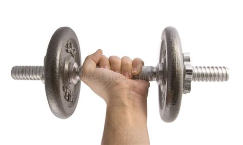 Working Out With Dumbbell Stock Photo Image Of Exercise 12278788