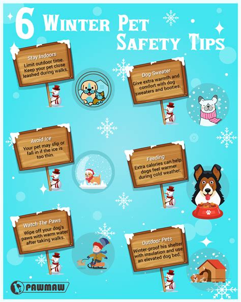 Winter Safety Tips For Your Pet In 2020 Your Pet Winter Safety Pets