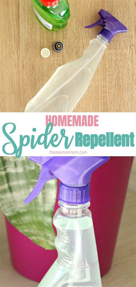This Natural Homemade Spider Repellent Can Be Used For Both Your Home