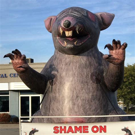 Federal Court Sides With Scabby And Local 150 In Donegal Bannering Case