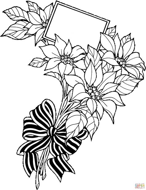 Download Poinsettia Coloring For Free Designlooter 2020 👨‍🎨