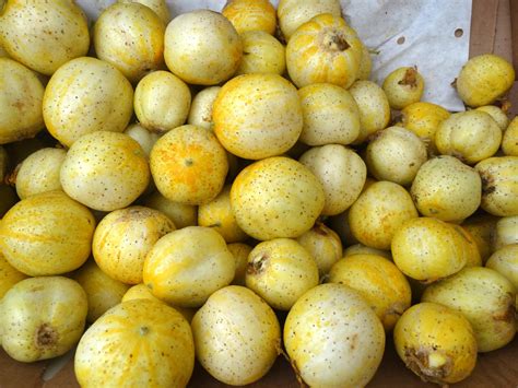 Lemon Cucumber Seeds Heirloom Hometown Seeds