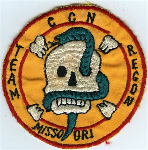 Pin On Special Unit Insignia