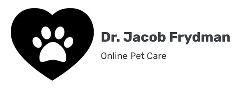 Five Important Things To Consider Before Getting A Pet Dr Jacob Frydman