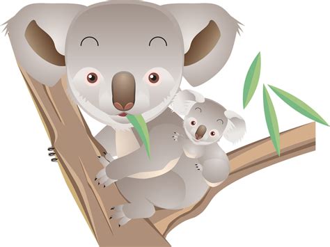 Koala Png Transparent Image Download Size 1280x960px