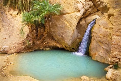 12 Top Rated Tourist Attractions In Tozeur Tunisia Planetware