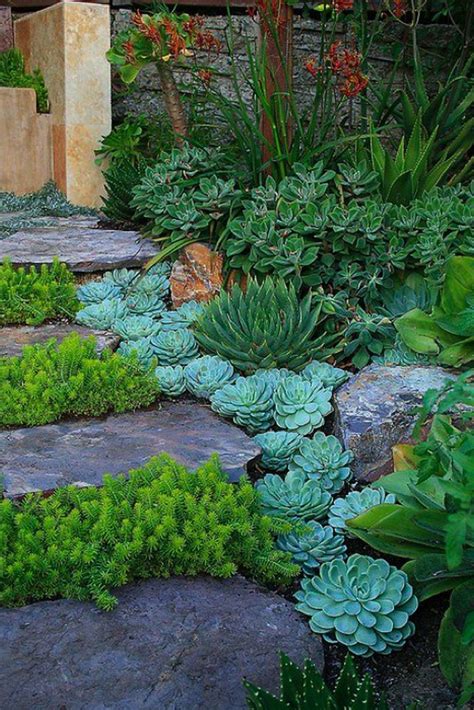 41 Lovely Indoor And Outdoor Succulent Plants Ideas Page 7 Of 43