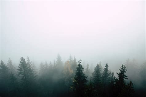 Kostenlose Foto Nebel Himmel Atmosphärisches Phänomen Dunst Natur