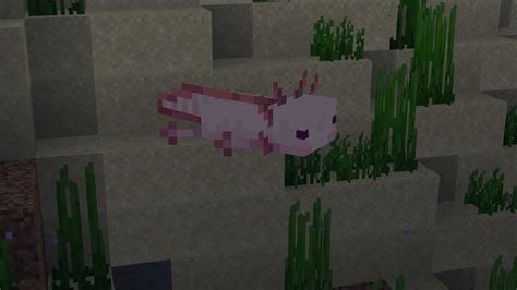 117 Entities Warden Axolotl Goat Minecraft Texture Pack