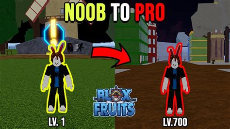 Noob To Pro Part 1 Level 1 To Level 700 Blox Fruits Youtube