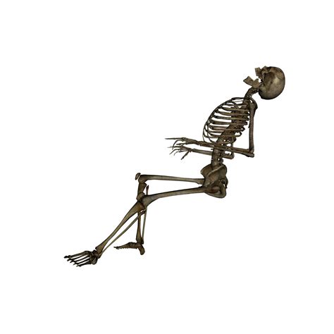 Skeleton Sitting Freetoedit Sticker By Donnalafrance