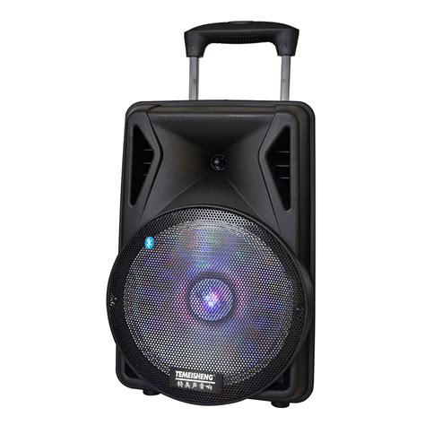 Temeisheng 12 Inch Dj Portable Bluetooth Speaker Box With Disco Light