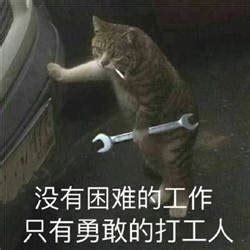 名站推薦 tips：2021年6月24日 已更新失效連結 total 13 ». 打工人表情包-打工人图片-沧浪手游