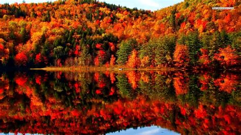 Beautiful Autumn Lake Reflection Autumn Lakes Nature Forests