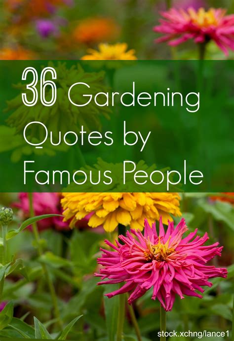 Garden Quotes Best Gardening Quotes By Famous People Install It Direct