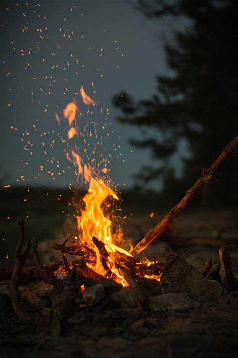 The Best Wood To Use As Firewood In A Campfire Camping Wallpaper