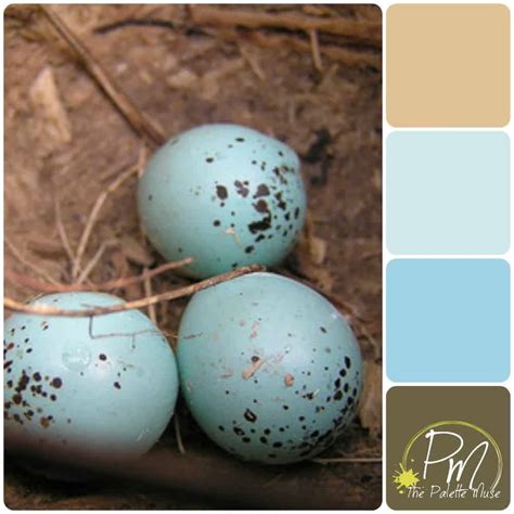Robin Eggs Palette The Palette Muse