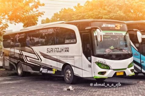 Bus Sari Indah Fasilitas Rute Harga Tiket And Kontaknya