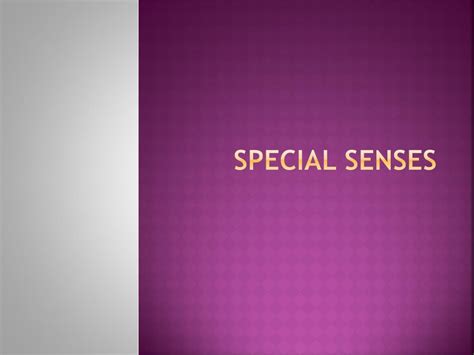 Ppt Special Senses Powerpoint Presentation Free Download Id2390518