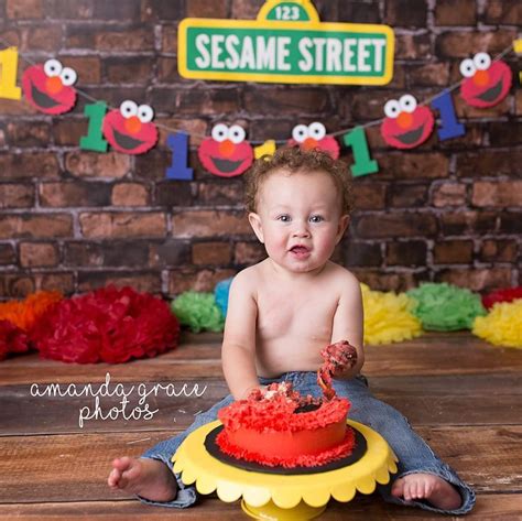 Sesame Street Cake Smash Elmo First Birthday Smash Cake First Birthday