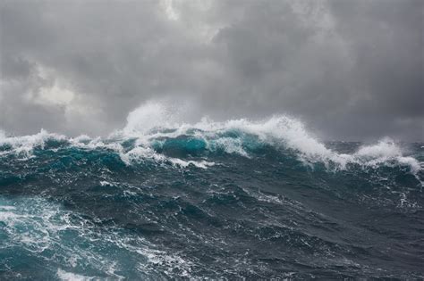 Atlantic Ocean Hurricanes 2023 Ocean Wildlife List