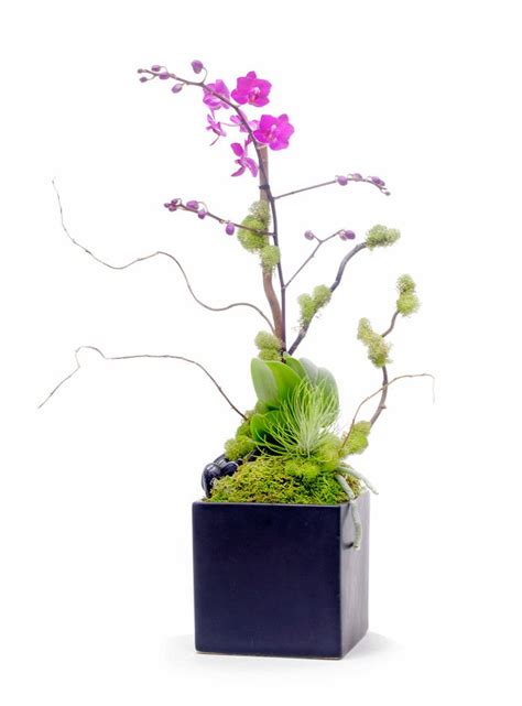 Feng shui is an ancient art and science or what you can call great flow and energy in your this arrangement assures that the relationship for the couple will be equal and balanced. Feng shui tip - orchids are the perfect flowers for your ...