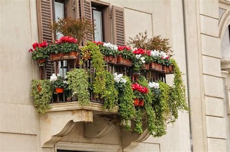 Fioraio bianchi caffè è anche location inedita dove realizzare eventi privati e aziendali in un'atmosfera raccolta e conviviale, adattabile alla diverse. balconi fioriti-idea-fiori-piante | Giardinaggio per principianti, Giardinaggio in piccoli ...