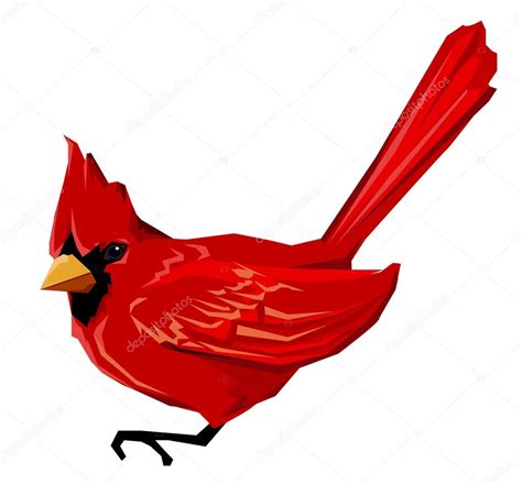 Northern Cardinal Red Cardinal Bird Vector Illustration Bird