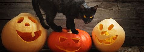 Black Cat Halloween Pumpkins Facebook Cover Halloween