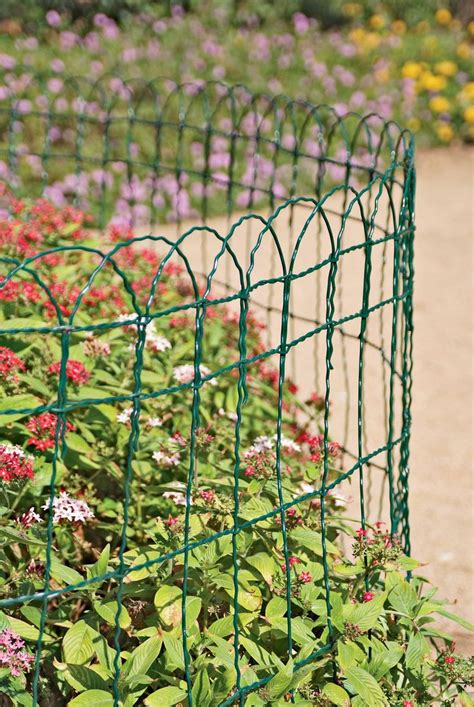 Decorative Wire Border Fence In 2 Heights Garden