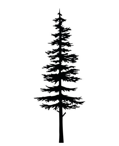 The most common silhouette pine tree material is metal. Pine Tree Illustrations, Royalty-Free Vector Graphics ...