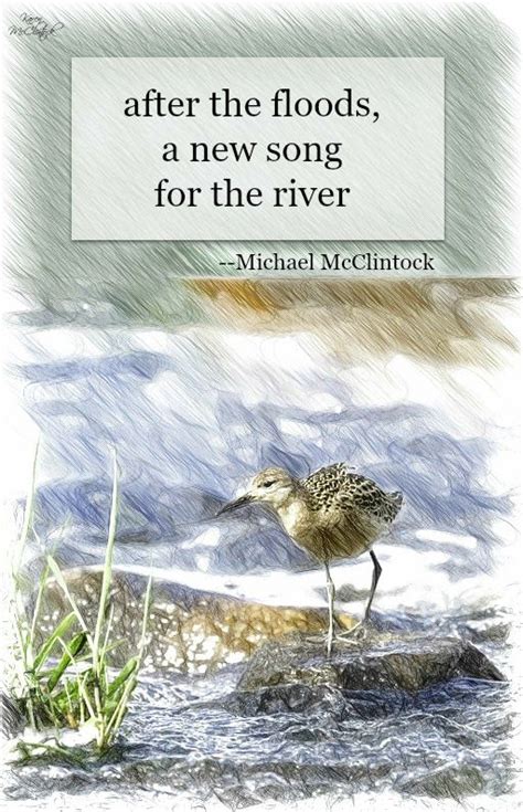 Haiku Poem After The Floods By Michael Mcclintock Although Not A