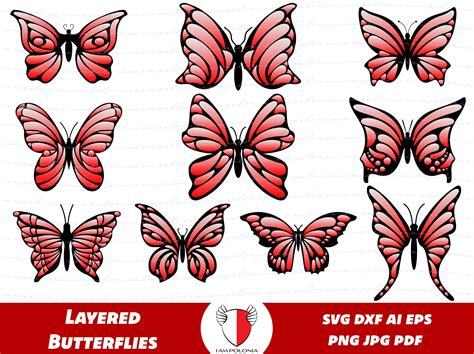 Layered Butterfly Svg Bundle Butterfly Template Silhouette Etsy