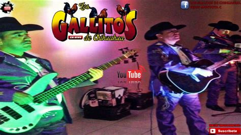 Los Gallitos De Chihuahua Disco Completo Vol2 En