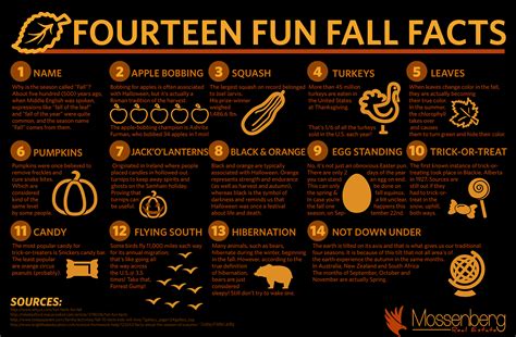 14 Fun Fall Facts Fall Facts Fall Fun Facts