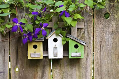4 Tips For Creating A Backyard Bird Habitat